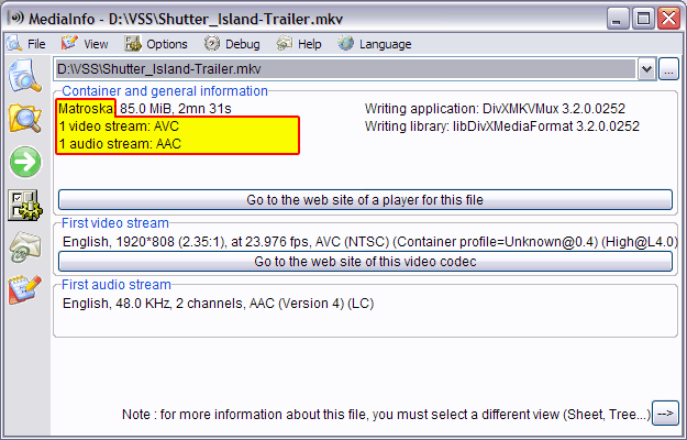 An MKV file in MediaInfo